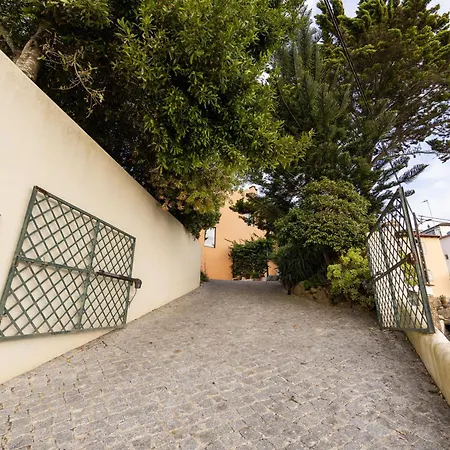 Vila Sobral Serenity